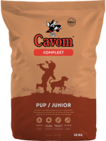 Junior