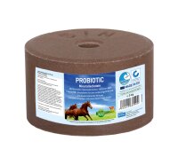 PROBIOTIC Mineralleckstein