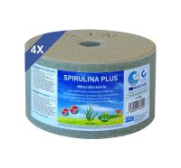 SPIRULINA PLUS Mineralleckstein