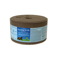 EquiVital PLUS Mineralleckstein
