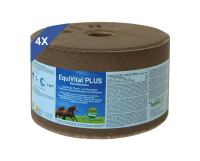 EquiVital PLUS Mineralleckstein