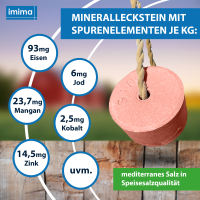 PREMIUMBLOCK Mineralleckstein