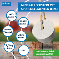 Multi Vitamin BRONCHIAL Mineralleckstein,