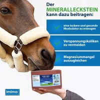 Super MAG Mineralleckstein