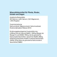 Super MAG Mineralleckstein