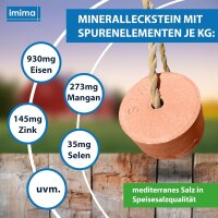 VitaminPlus Selen, Mineralleckstein