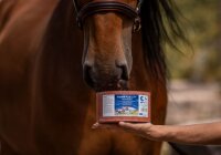 VitaminPlus Selen, Mineralleckstein