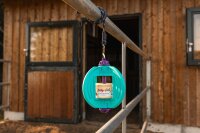 LIKIT Bizzy Ball für Lolly-Lick, türkis