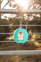 LIKIT Bizzy Ball für Lolly-Lick, türkis