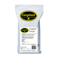 FangGold Energie mit 38% Lachs 15 kg, Monoprotein
