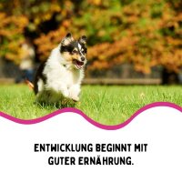 FangGold Cold Brik Puppy & Junior, kaltgepresstes Welpen- und Aufzuchtfutter 15 kg