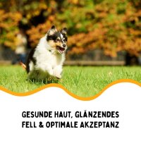 FangGold Cold Brik Adult 15 kg, kaltgepresst