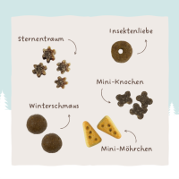 Sammys Adventskalender