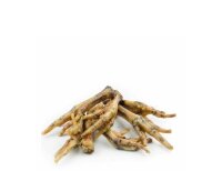 Zooba Hühnerfüße ohne Kralle  1 A Ware