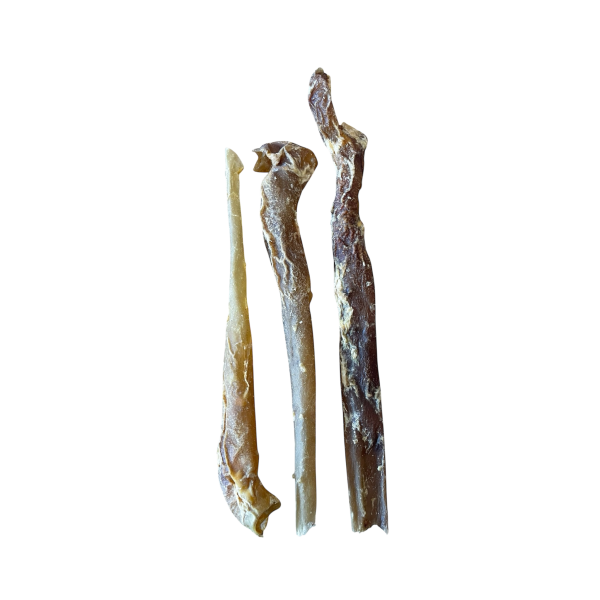 Pferde Aorta
