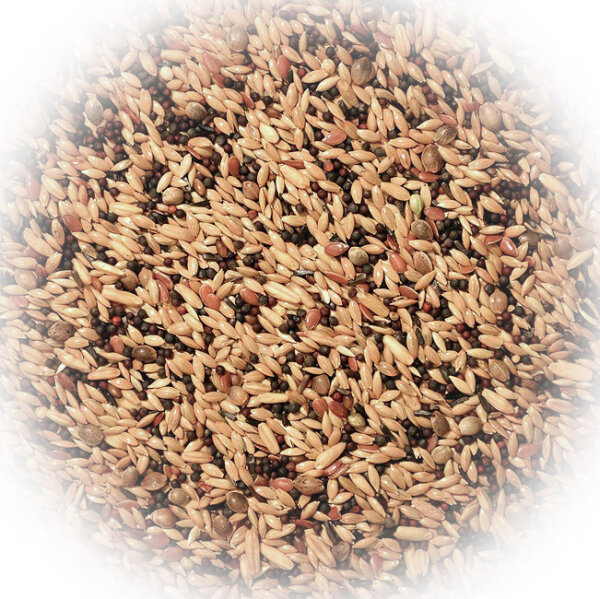FumyFutter Kanarien Extra 20 kg