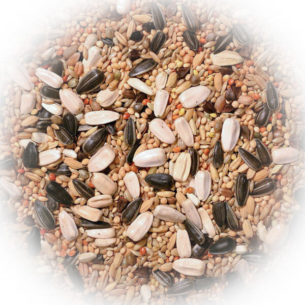 FumyFutter Großsittich Extra 20 kg