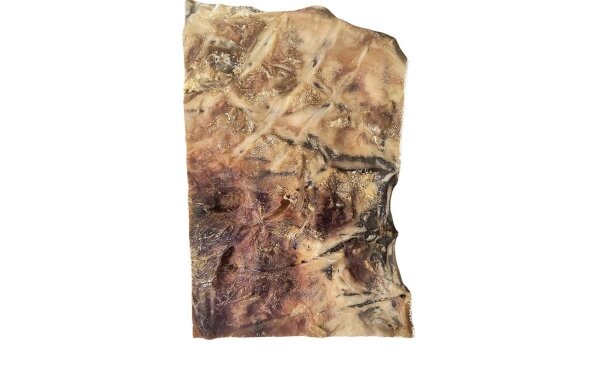 Rinder Kopfhaut Platte XL