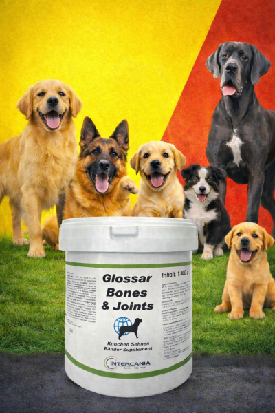 Glossar Bones & Joints    500 g / 300 Tabletten