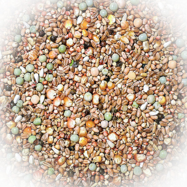 FumyFutter Nr. 4 Jungtauben & Kleine Rassen 25 kg