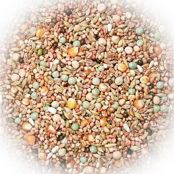 FumyFutter Nr. 5 Leichte Rassen 25 kg