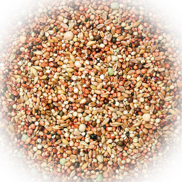 FumyFutter Nr. 12 Kurzschnäbler Spezial 25 kg