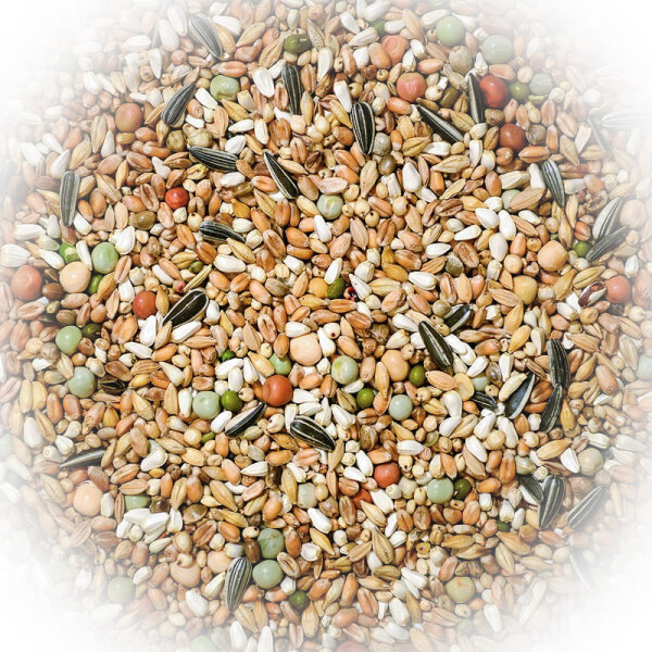 FumyFutter Nr. 15 "Maik Löffler 2" Tierarztmischung 25 kg