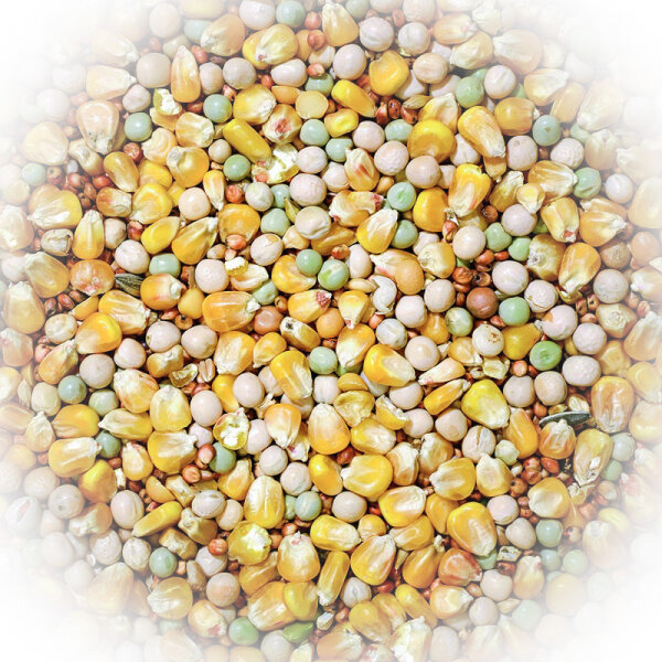 FumyFutter Nr. 17 Standard ohne Weizen 25 kg