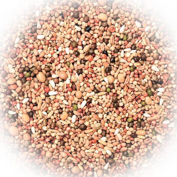 FumyFutter Nr. 21 Top Zucht 25 kg