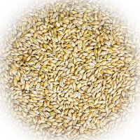 FumyFutter französische Braugerste 25 kg