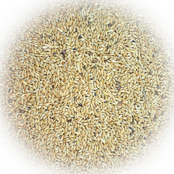 FumyFutter Kanariensaat 20 kg