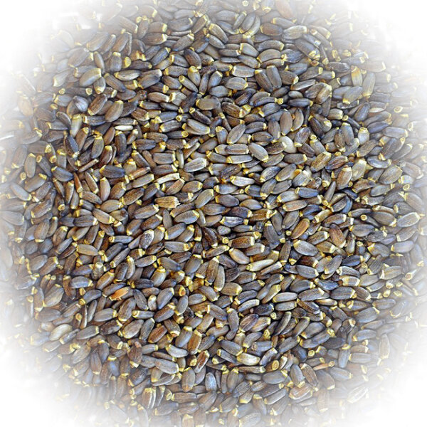FumyFutter Mariendistel 20 kg