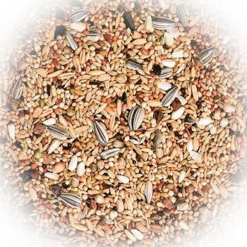FumyFutter Wachtelfutter & Volieren-Mix 20 kg