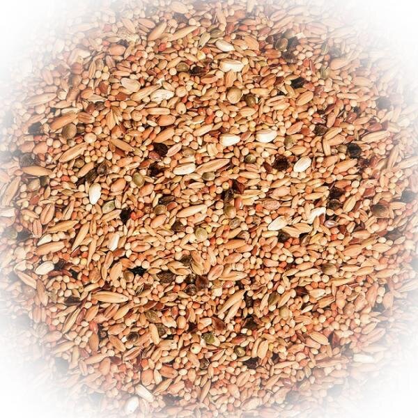 FumyFutter Agaporniden & Neophemen 20 kg