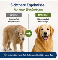 medicaVET MultiAktivMineral für Hunde, Pulver, 500g Doypack