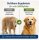 medicaVET MultiAktivMineral für Hunde, Pulver, 500g Doypack 2 x 500 g