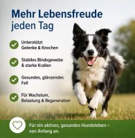 medicaVET MultiAktivMineral für Hunde, Pulver, 1500g Doypack