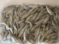 Gefrorene Stinte 1kg – Frostfutter für Fisch,...