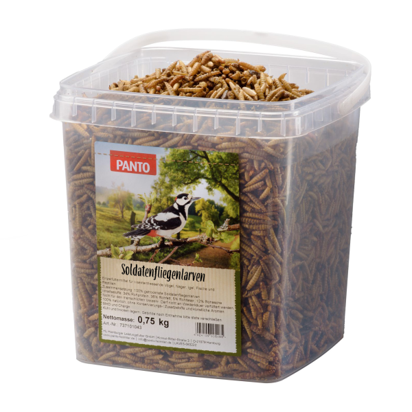 PANTO® Soldatenfliegenlarven 750g