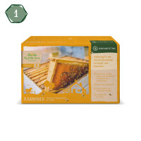 Rähmchen, 10er Packung