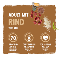 Sanabelle Classic Adult mit Rind  10 KG