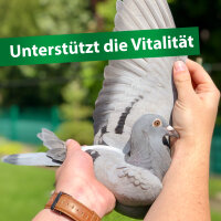 Avidress Plus Senkt das Infektionsrisiko im Trinkwasser für Tauben & Kaninchen