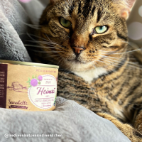 Adult zartes Hühnchen & Forelle