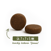 Getreidefrei mit leckerem Simmentaler Landrind