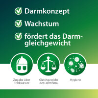 Darmwohl - für Geflügel & Kleintiere, unterstützt Verdauung & Aufzucht,
