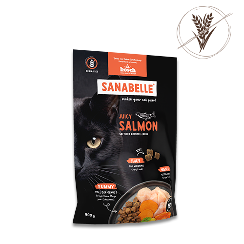 Juicy Nordsee-Lachs 250 g