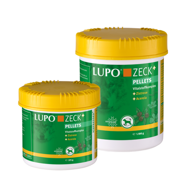 LUPO ZECK+