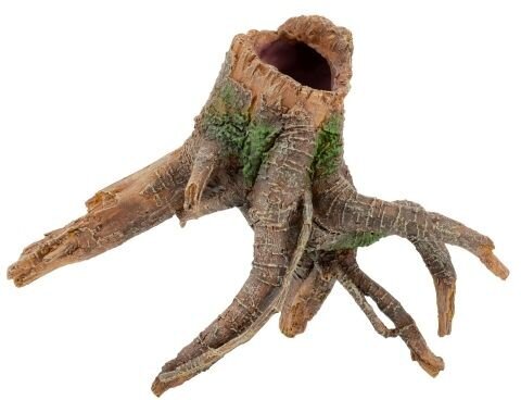 Wurzel  21 cm