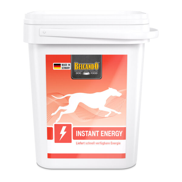3 kg